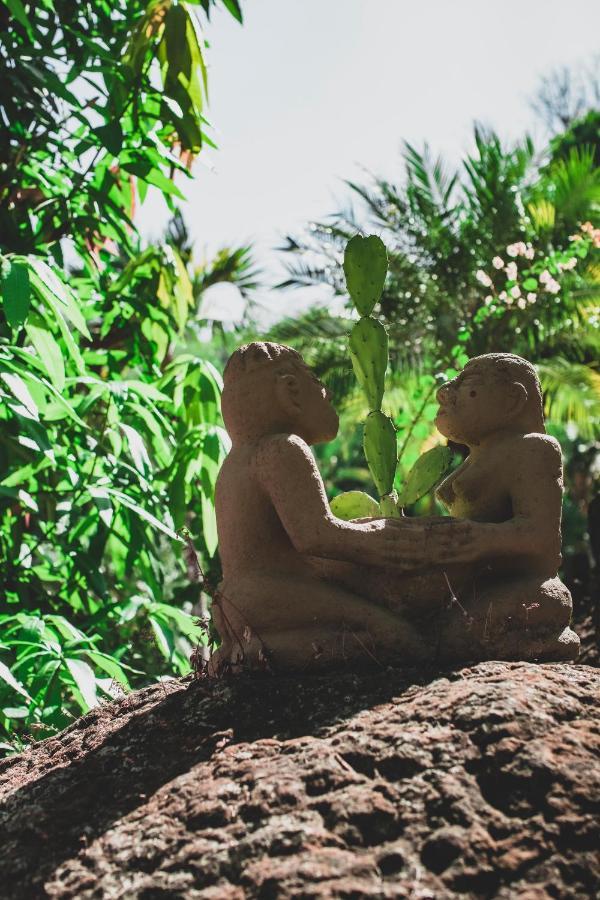 Hotel El Jardin Montezuma Eksteriør bilde