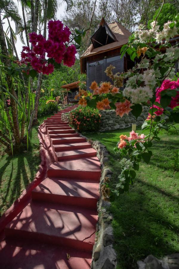 Hotel El Jardin Montezuma Eksteriør bilde