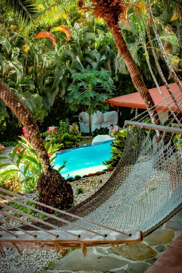 Hotel El Jardin Montezuma Eksteriør bilde