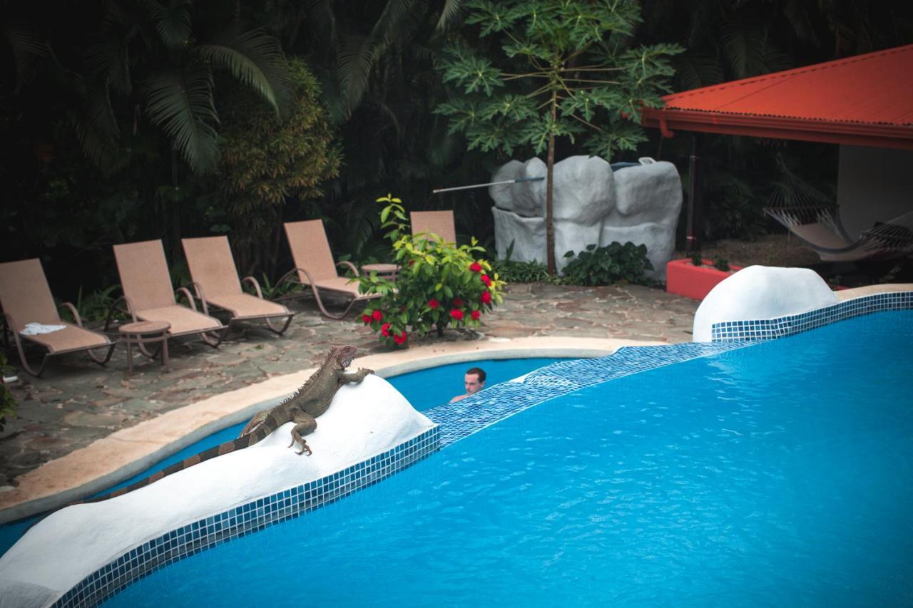 Hotel El Jardin Montezuma Eksteriør bilde